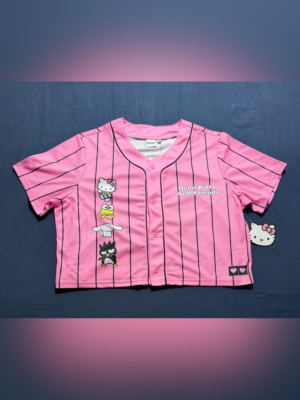 Polyester Large NWT Hello Kitty And Friends Crop Top Jersey